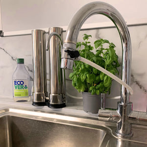 Kitchen sink with faucet, plant, and bottle 