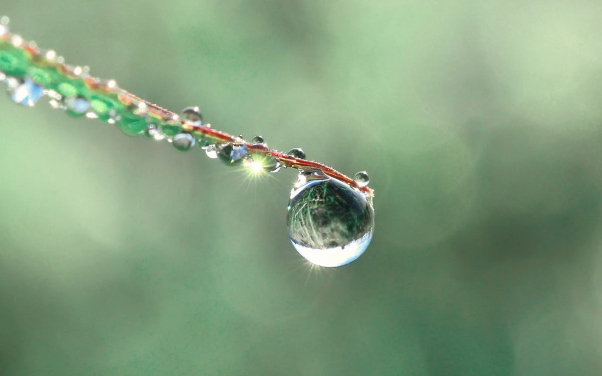Pure water drop in nature, mineral rich